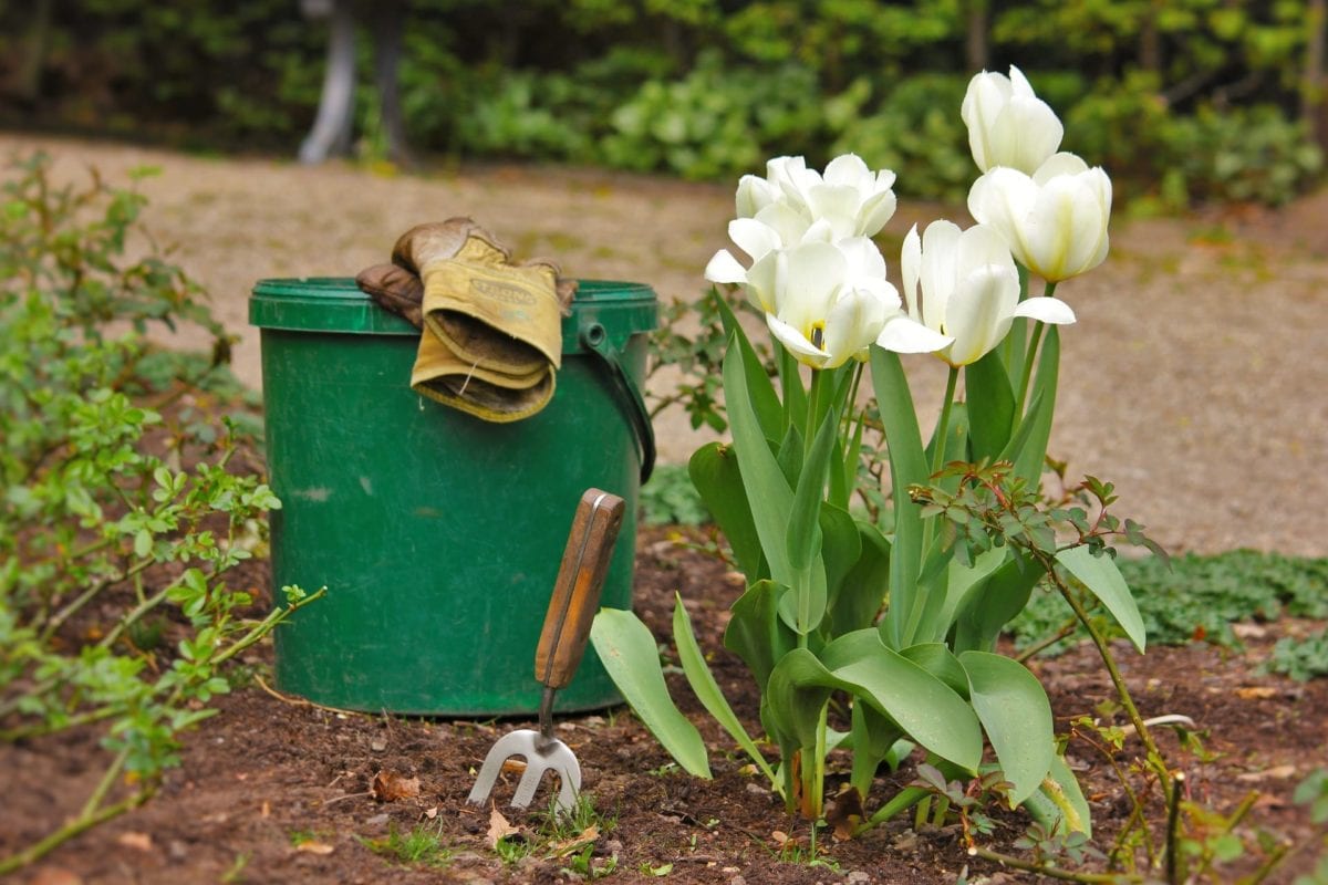quick-and-easy-steps-to-spruce-up-your-home-exterior-image